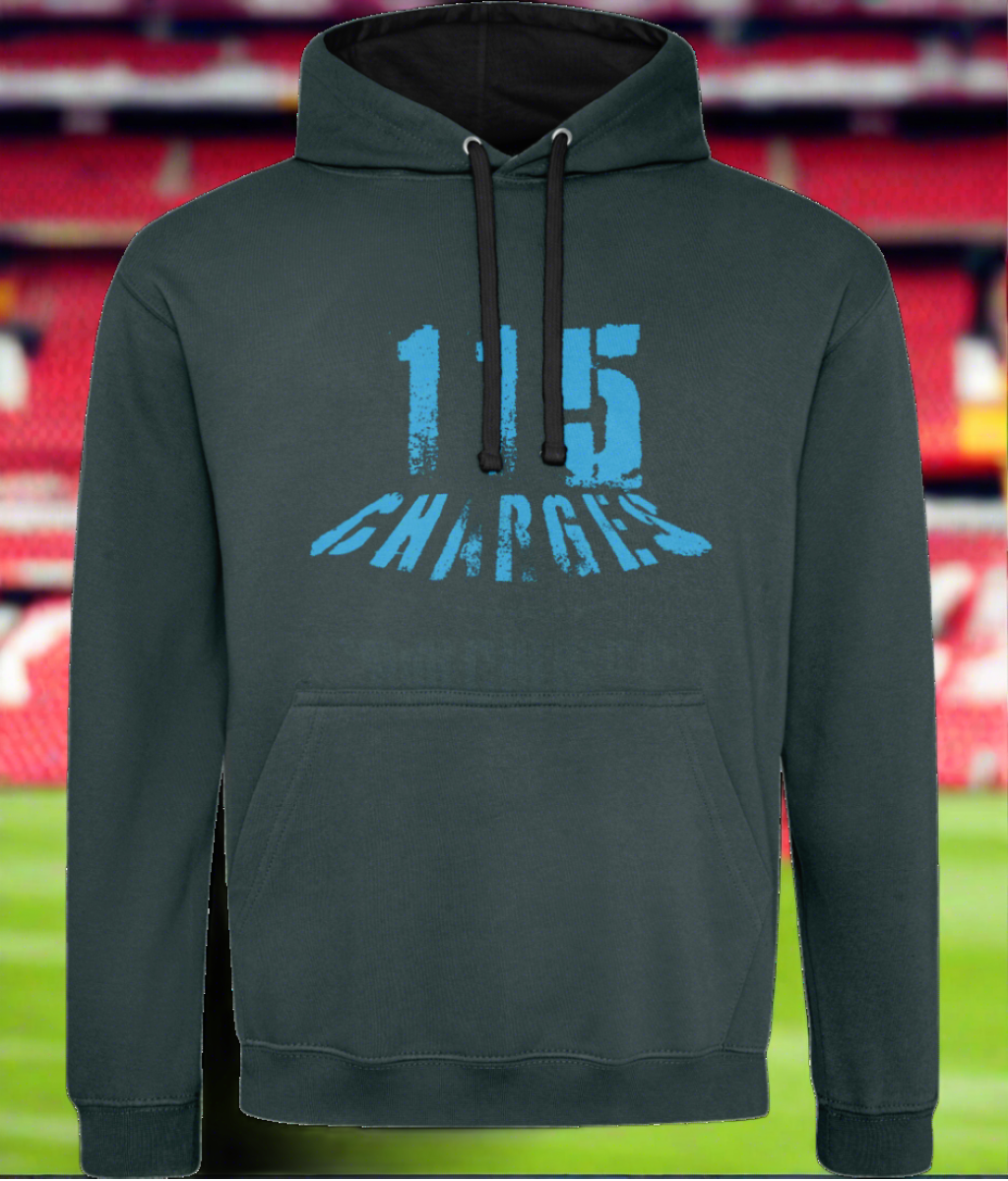 115 Charges Financial Grey Areas Hoodie - Clothing against corruption. United against City.